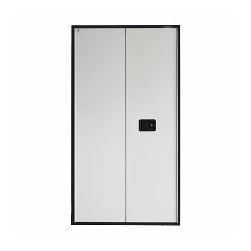 विस्फोट रोधी दस्तावेज़ भंडारण कैबिनेट